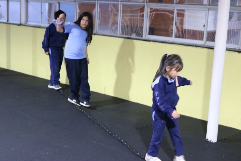 Día de la Actividad Física